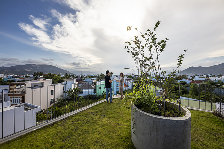 Mái nhà được trồng cỏ Nhật giúp giảm bức xạ nhiệt theo hướng từ trên xuống.