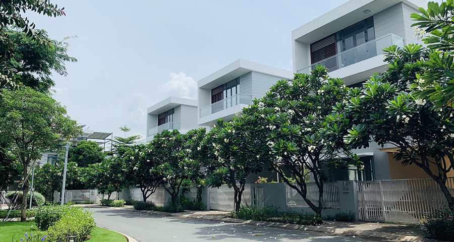 phố đông 6